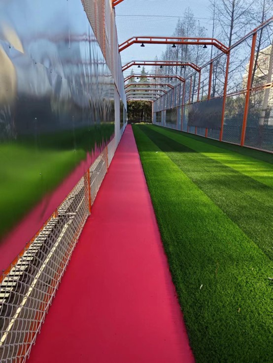 图片3.jpg 图片3.jpg